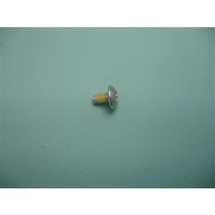 Śruba do lodówki Amica 1005990