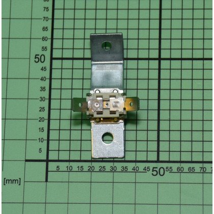 Ogranicznik temp.z.66L EBN